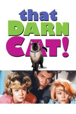 Эта дикая кошка (1965)