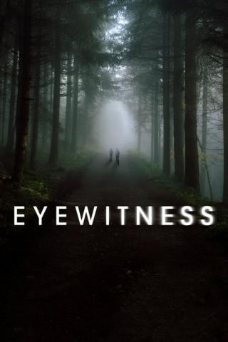 Свидетели (2016)