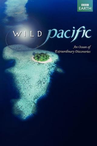 Тайны Тихого океана (2009)