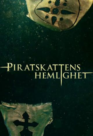 Тайна пиратских сокровищ (2014)